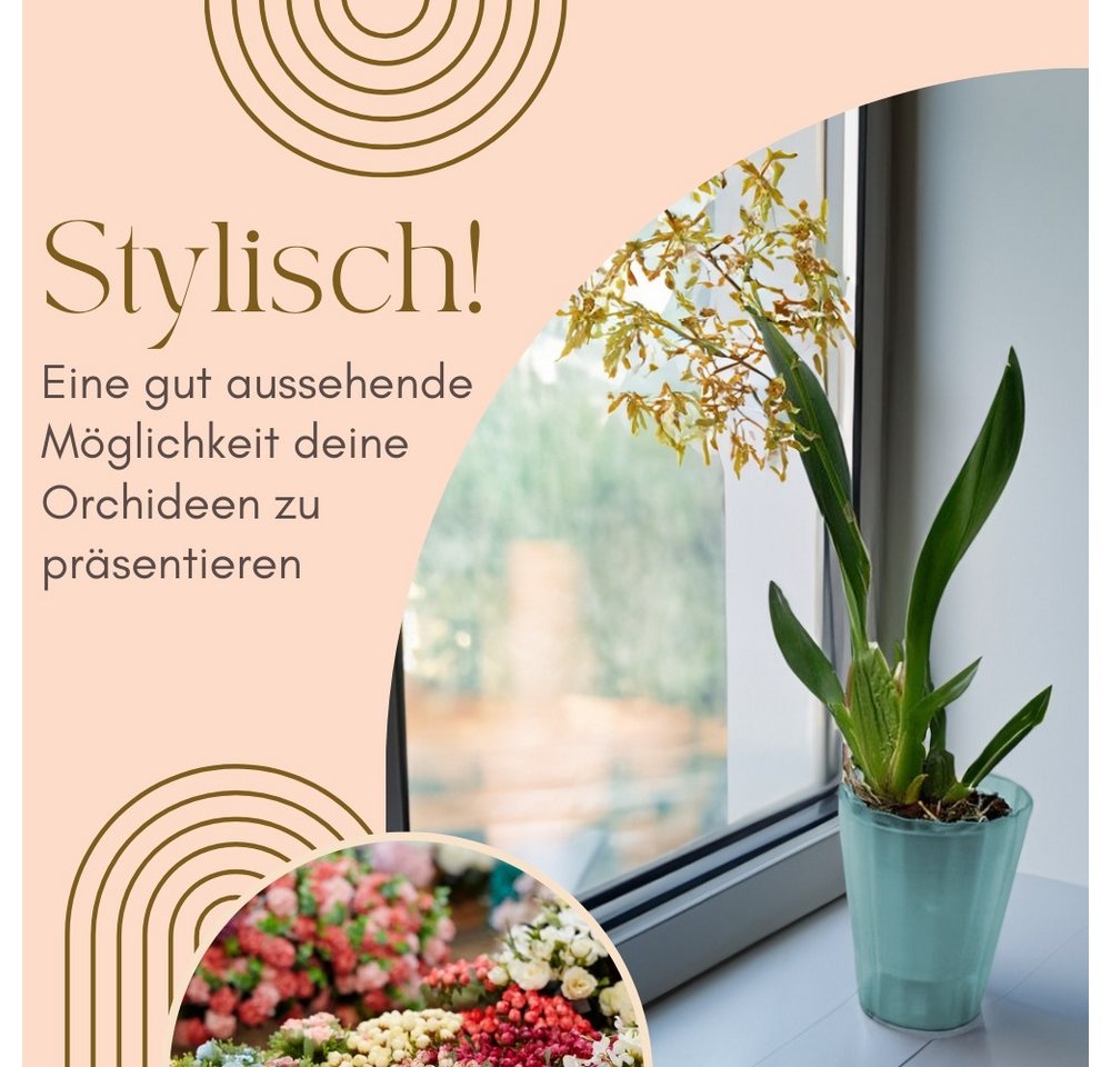 GarPet Blumentopf 4er Set Orchideentopf Transparent Orchideen Über Topf Innen 13 glas – Bild 3 von 5
