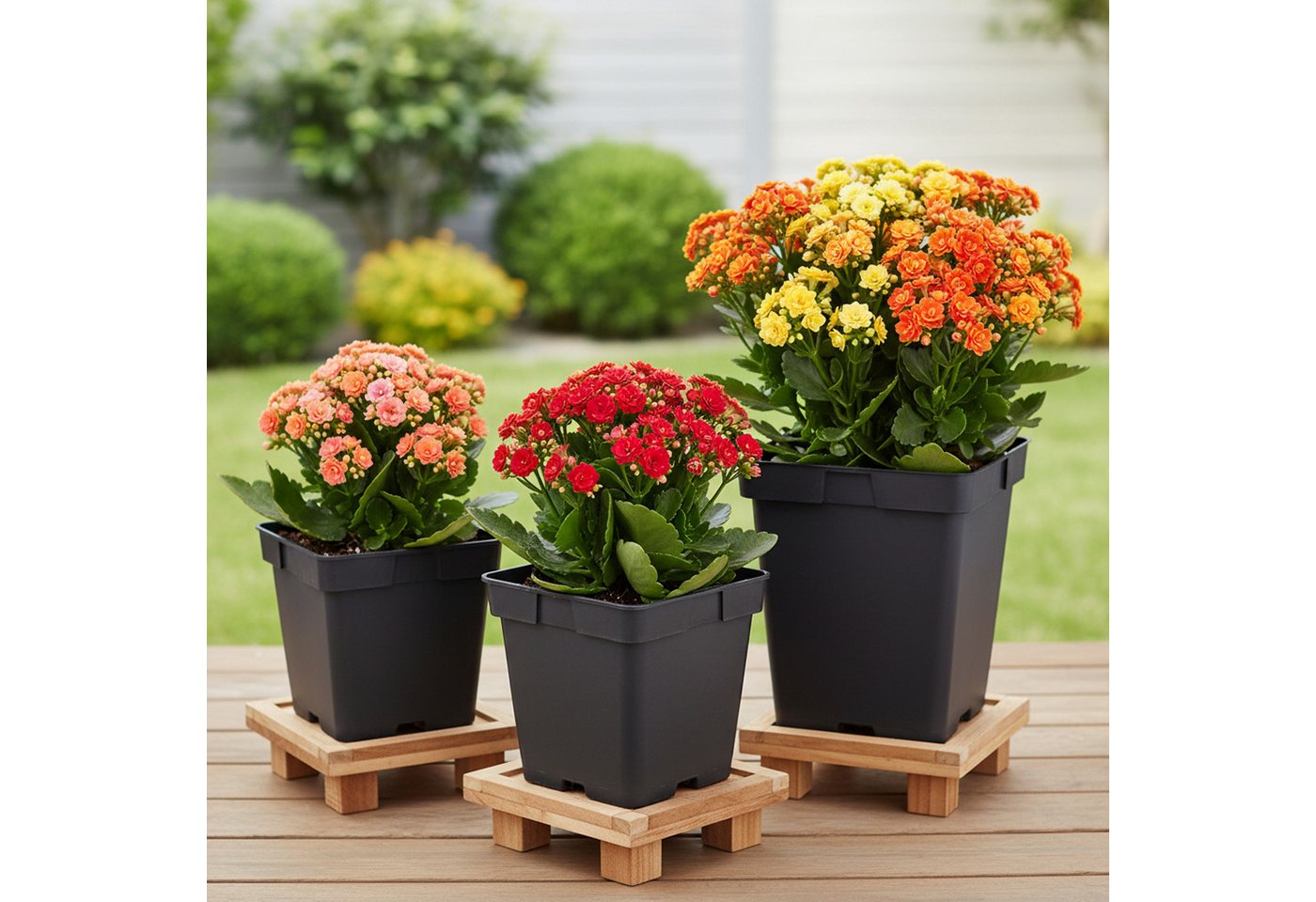 Garronda Blumentopf Kunststoff eckig mit Drainagelöchern Blumentopf für Garten GD-0199 (50 St., 50er Set) – Bild 3 von 4