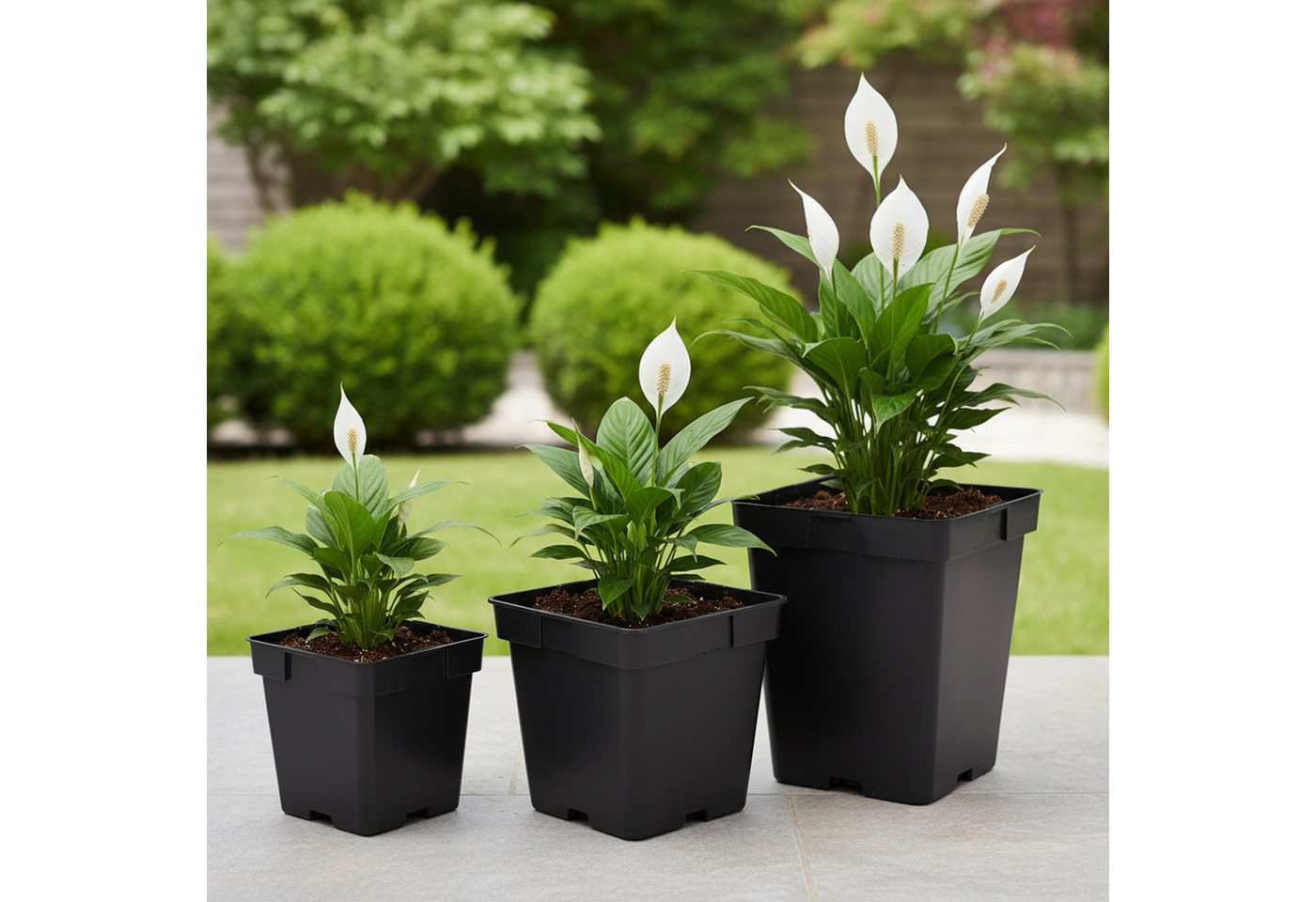 Garronda Blumentopf Kunststoff eckig mit Drainagelöchern Blumentopf für Garten GD-0199 (10 St., 10er Set) – Bild 2 von 4