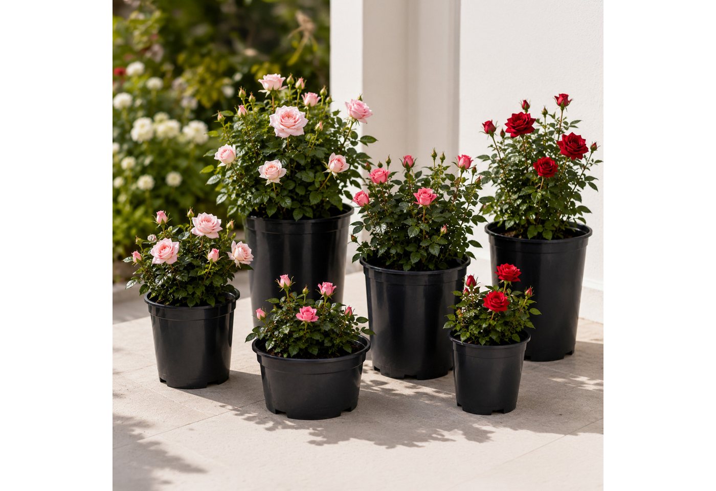 Garronda Blumentopf rund Kunststoff mit Drainagelöchern für Garten GD-0204 (5 St., 5er Set) – Bild 3 von 4