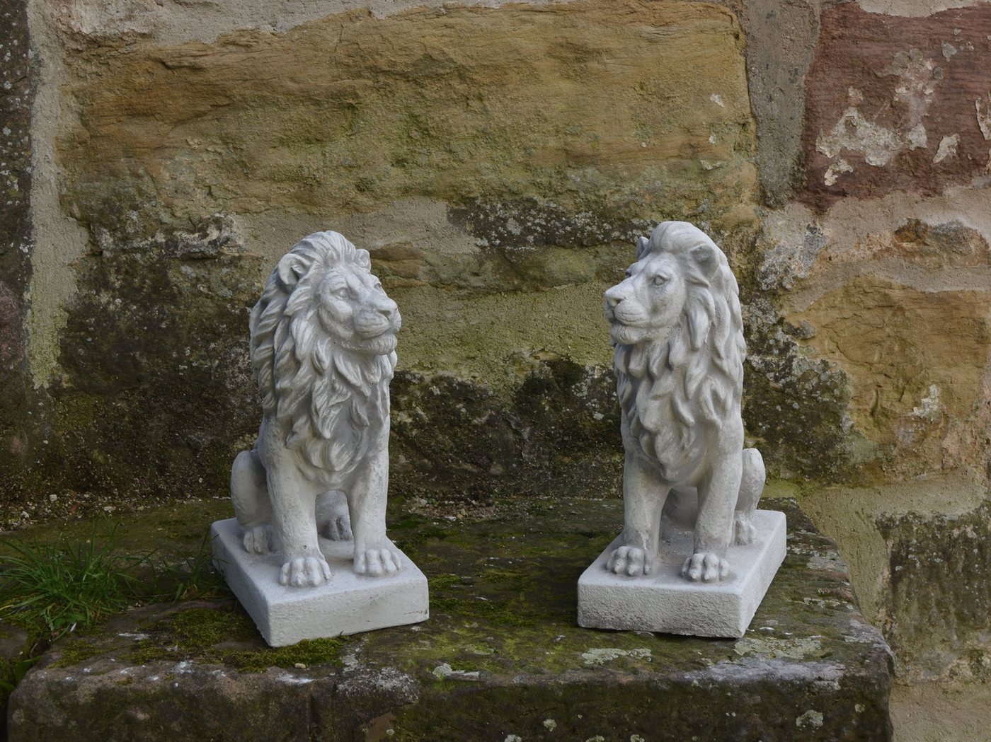 gartendekoparadies.de Gartenfigur Löwen Statue, Steinfigur, Torwächter, H. 34 cm, 10 kg, Frostsicher – Bild 5 von 5