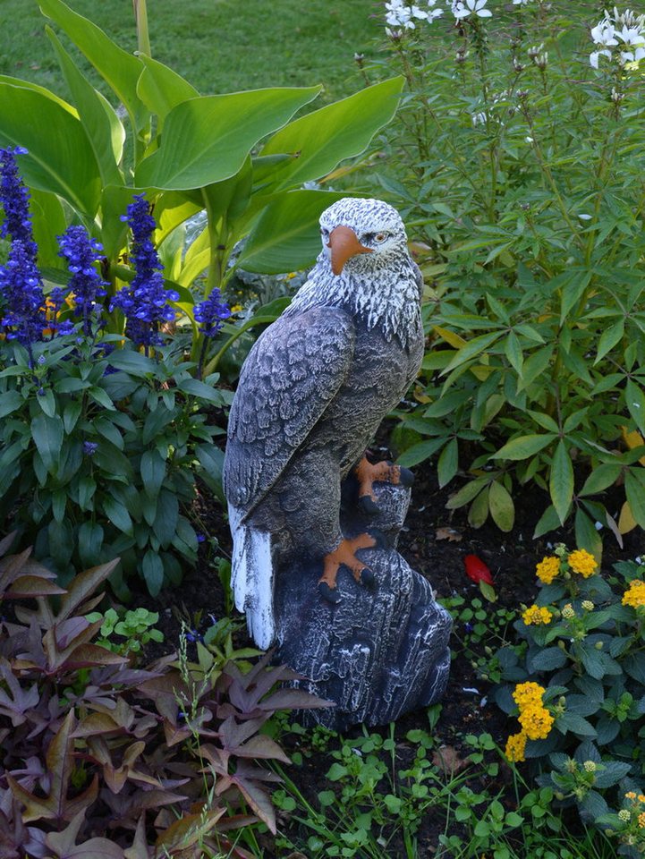 gartendekoparadies.de Gartenfigur Mächtiger Adler, Steinadler, Steinfigur, H. 50 cm, 14 kg (Mehrfarbig), Frostsicher – Bild 2 von 5