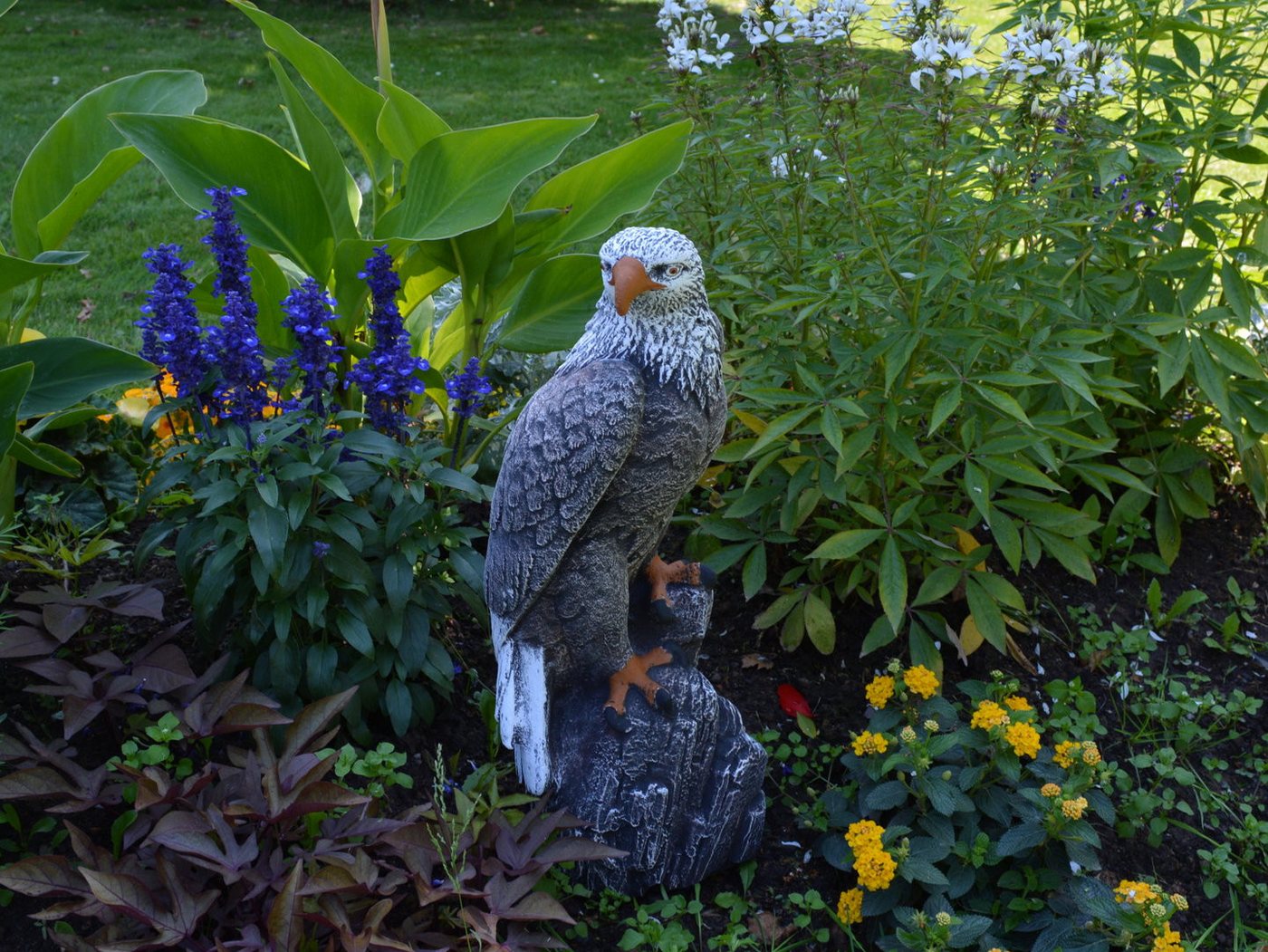 gartendekoparadies.de Gartenfigur Mächtiger Adler, Steinadler, Steinfigur, H. 50 cm, 14 kg (Mehrfarbig), Frostsicher – Bild 3 von 5
