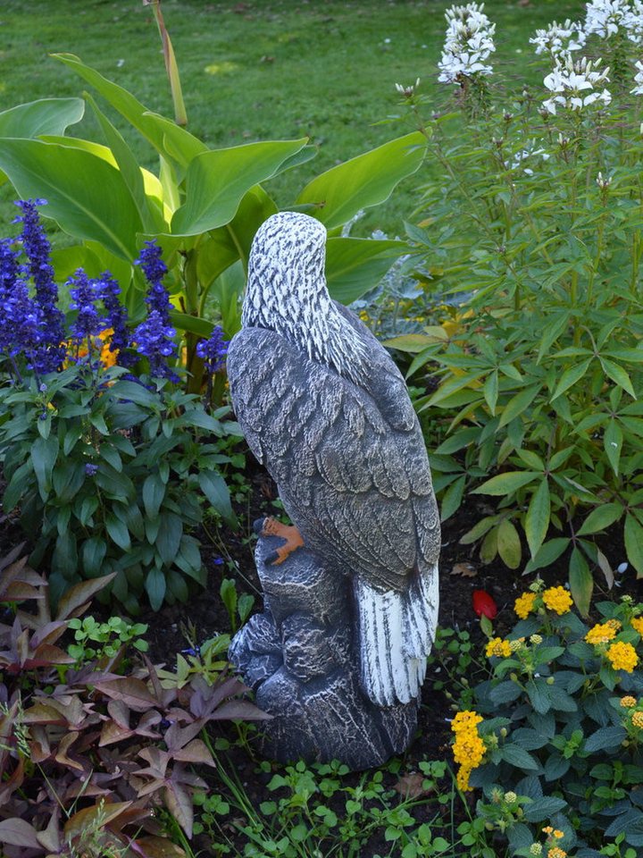 gartendekoparadies.de Gartenfigur Mächtiger Adler, Steinadler, Steinfigur, H. 50 cm, 14 kg (Mehrfarbig), Frostsicher – Bild 5 von 5