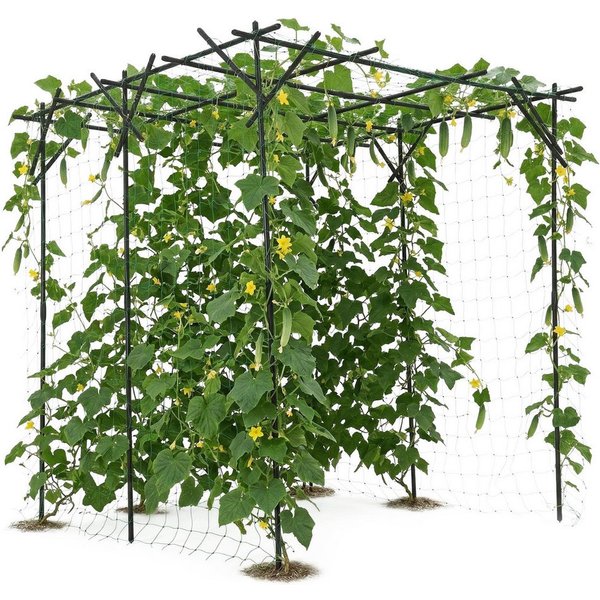 GarveeMore Spalier Pflanzbogen aus beschichtetem Kohlenstoffstahl, wasserfest & rostfrei, inkl. einfacher Montage, für Garten, Hochzeiten, Partys & Kletterpflan