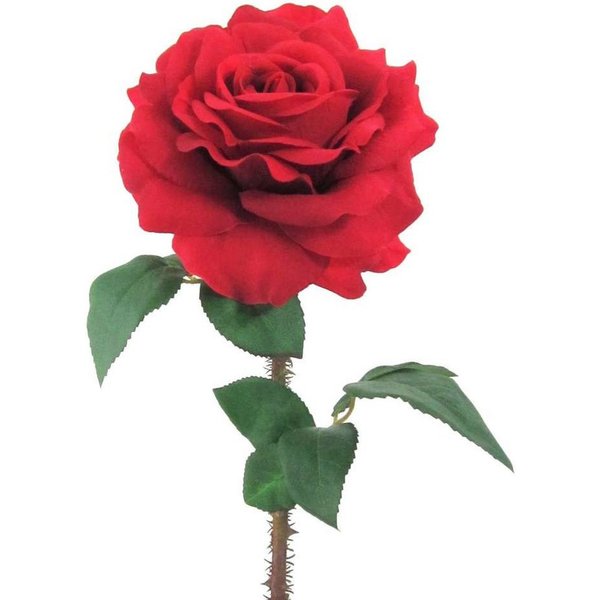 Kunstblume Kunstblume, Seidenblume, ROSE. Ca 60cm. Rosen 1 Stück., Gasper, Höhe 60.00 cm
