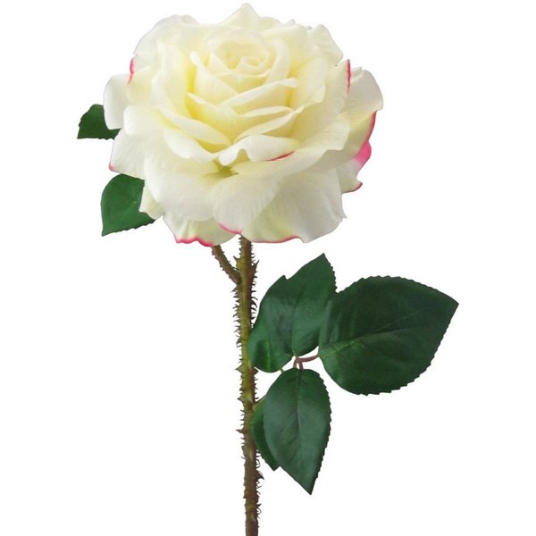 Kunstblume Kunstblume, Seidenblume, ROSE. Ca 60cm. Rosen 1 Stück., Gasper, Höhe 60.00 cm