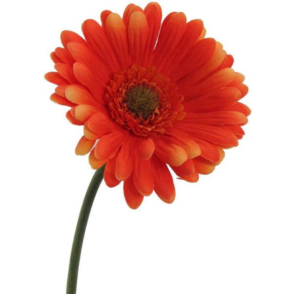 Kunstblume Kunstblume GERBERA 50cm, Gasper, Höhe 50.00 cm
