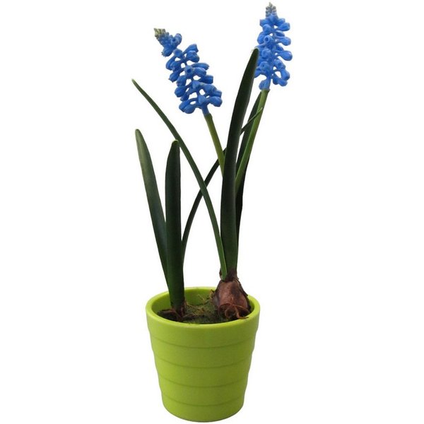 Kunstblume Kunstpflanze, Blume MUSKARI ca. 23cm. Im runden Kunststofftopf., Gasper, Höhe 23.00 cm
