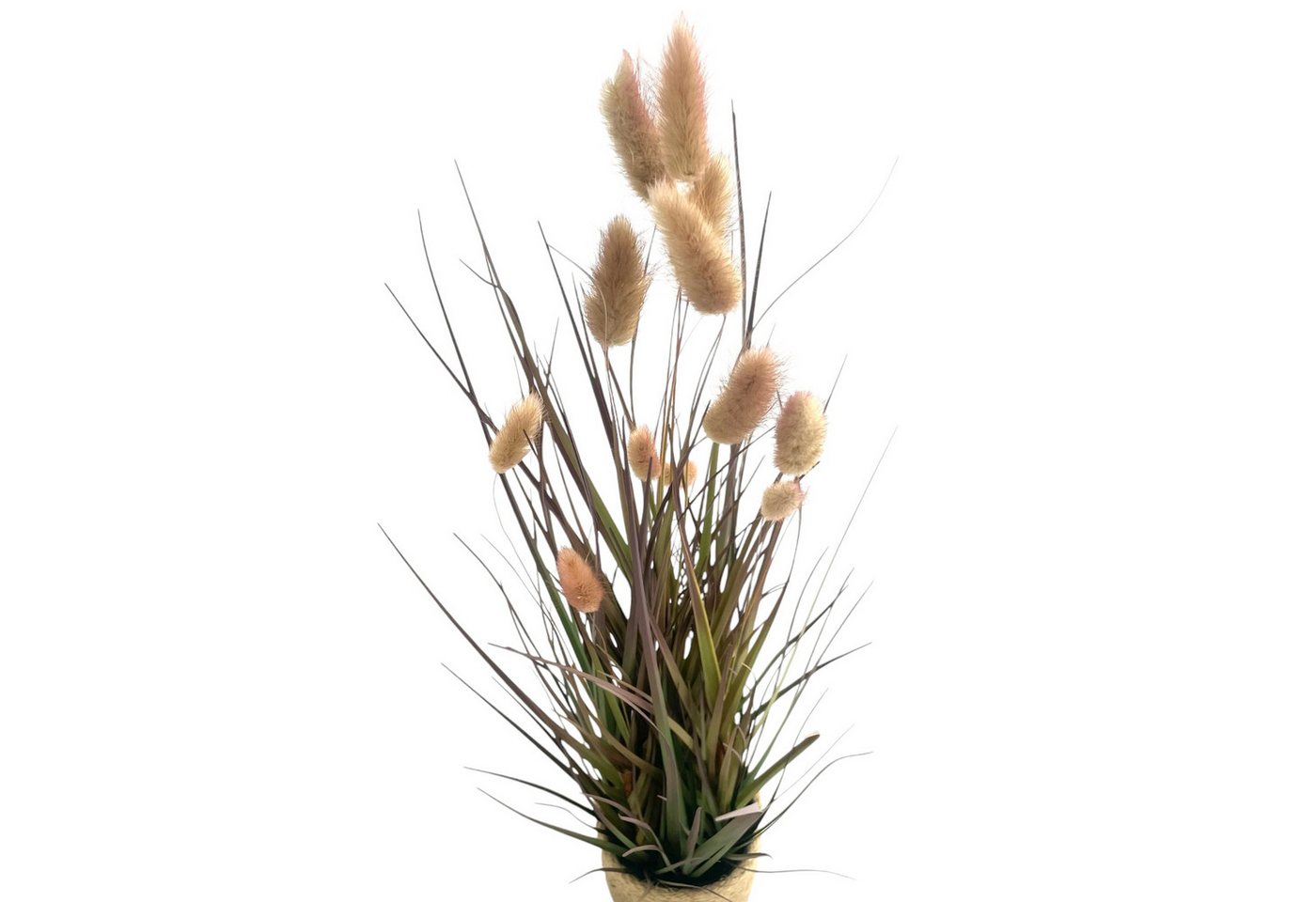 Kunstgras Künstliches Lagurusgras, Kunstgras im Topf ca. 60cm, Gasper – Bild 2 von 4
