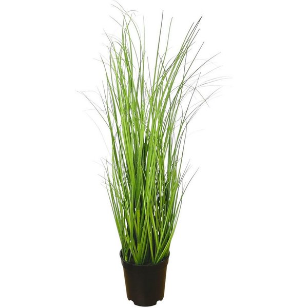 Kunstgras Kunstpflanze Gras, GRASBUSCH IM TOPF. Ca. 50cm. OHNE Übertopf., Gasper