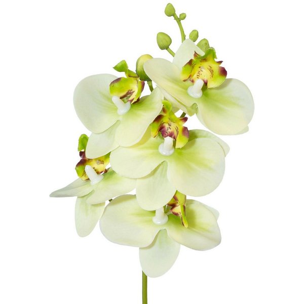 Kunstorchidee Kunstblume Phalaenopsis, Orchideenzweig 27cm Real Touch, Gasper