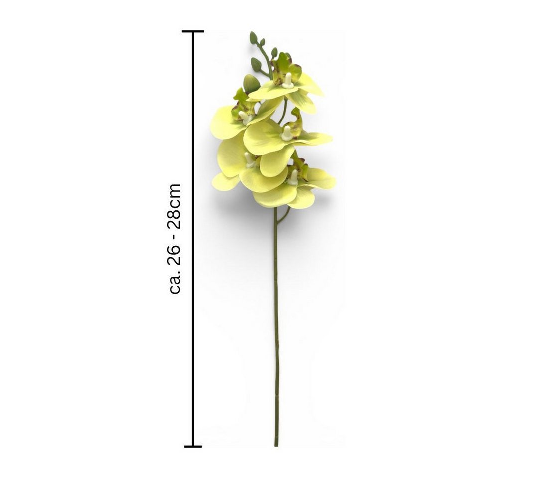 Kunstorchidee Kunstblume Phalaenopsis, Orchideenzweig 27cm Real Touch, Gasper – Bild 2 von 2