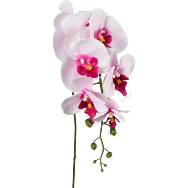 Kunstorchidee Kunstblume Phalaenopsis 86cm. Orchidee, Orchideentrieb., Gasper, Höhe 86.00 cm