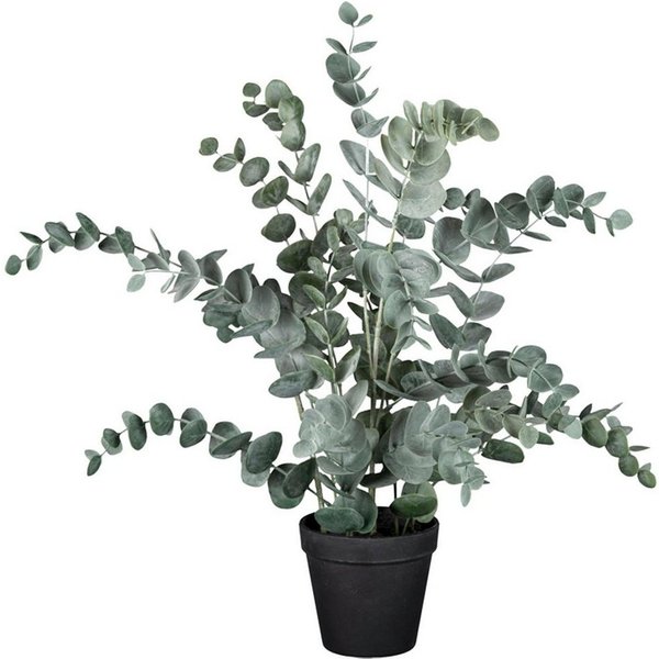 Kunstpflanze Eukalyptus im Topf HELENAS, Grün, Kunststoff Kunstpflanze Eukalyptus, Gasper, Höhe 53 cm