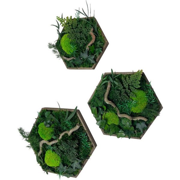 Gedankenwunder Manufaktur Bild Efeuwald Moosbild mit Ast & Efeu Hexagon Sechseck Wabe