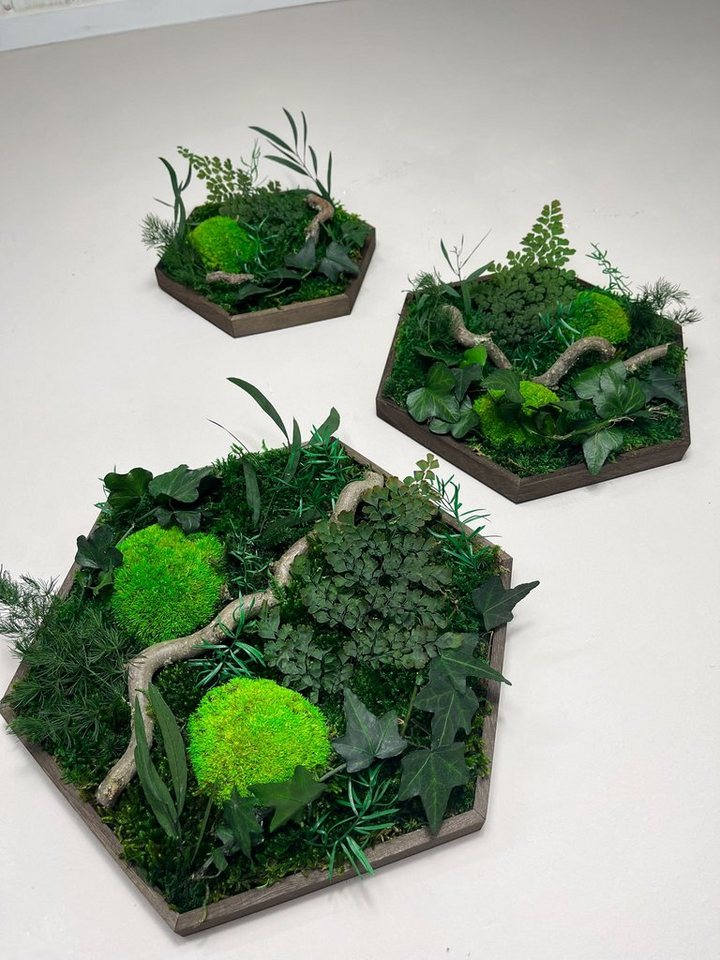 Gedankenwunder Manufaktur Bild Efeuwald Moosbild mit Ast & Efeu Hexagon Sechseck Wabe – Bild 2 von 5