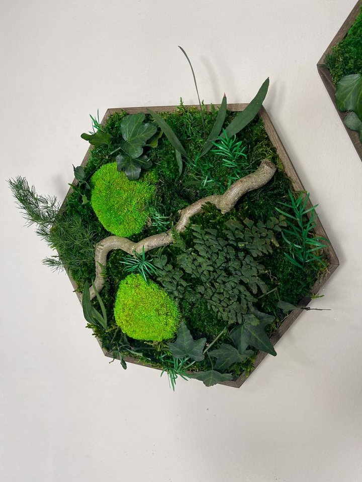 Gedankenwunder Manufaktur Bild Efeuwald Moosbild mit Ast & Efeu Hexagon Sechseck Wabe – Bild 3 von 5