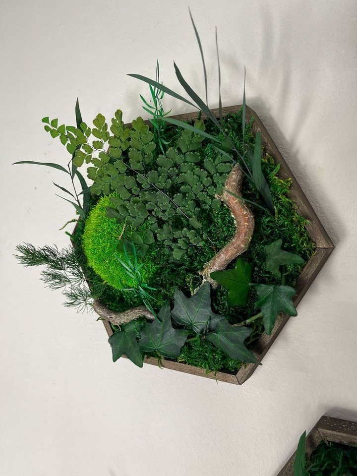Gedankenwunder Manufaktur Bild Efeuwald Moosbild mit Ast & Efeu Hexagon Sechseck Wabe – Bild 4 von 5