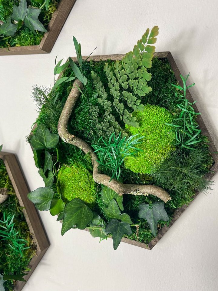 Gedankenwunder Manufaktur Bild Efeuwald Moosbild mit Ast & Efeu Hexagon Sechseck Wabe – Bild 5 von 5