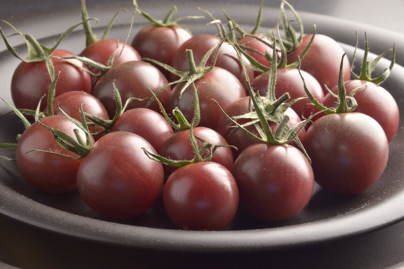 SAFLAX Gemüsesamen SAFLAX - Samen - BIO - Tomate - Black Cherry – Bild 4 von 5