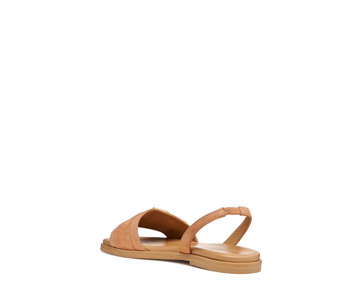 Geox GEOX NAILEEN, Sandaletten, Braun, Damen Sandalette – Bild 5 von 5
