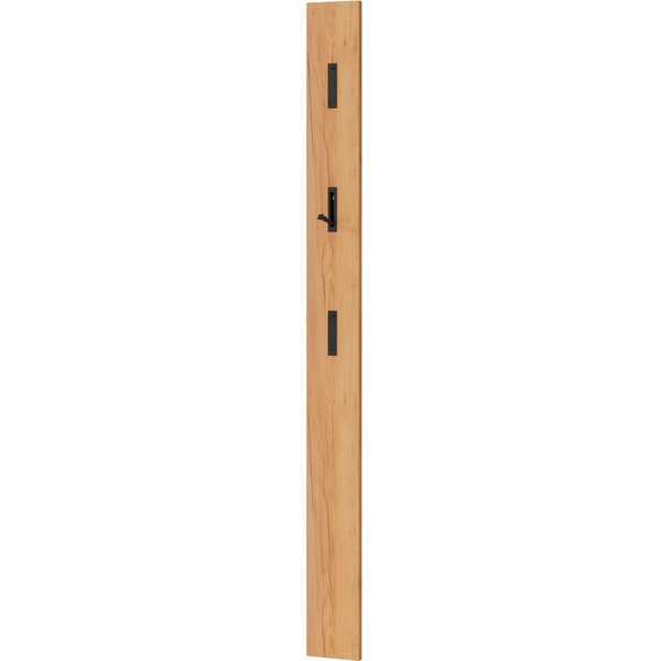 GERMANIA Garderobenpaneel Ameca (1 St), 15x 70x3 cm, für schmale Flure, ausklappb. Haken, Made in Germany