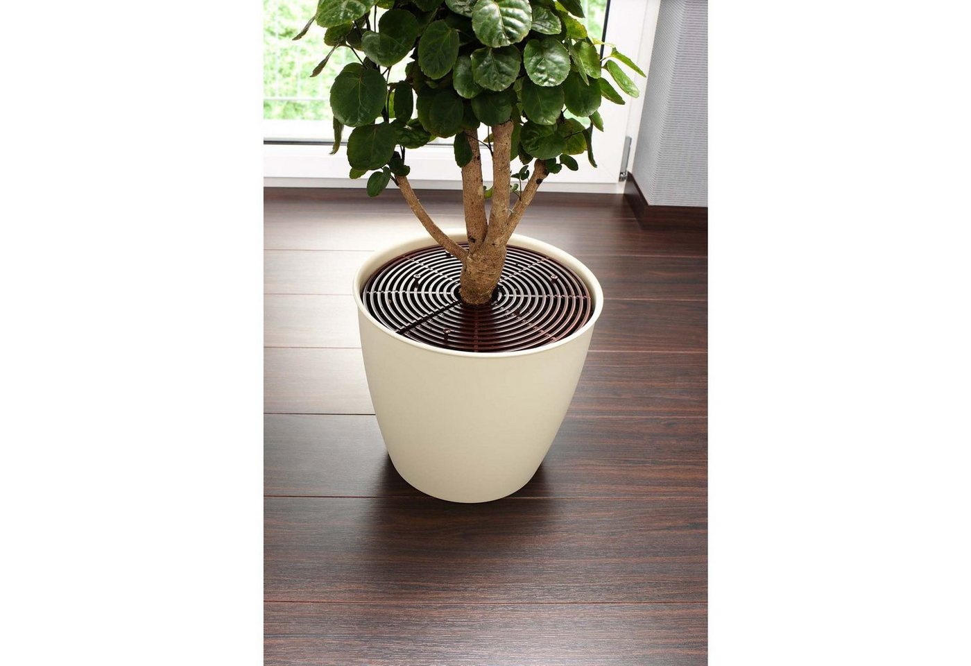 HAC24 Blumentopf Blumentopfgitter Kunststoff Blumentopfschutz Schutzgitter (Set, 4 St., Ø 30 cm), Schutz Haustiere Kinder Pflanzen – Bild 3 von 3