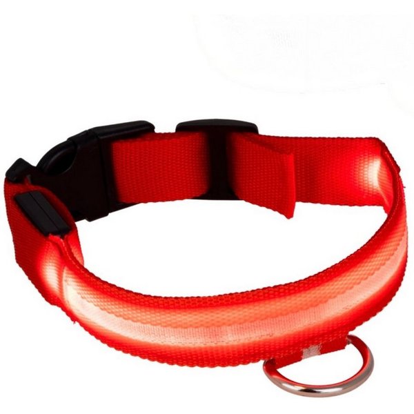 HAC24 Leuchthalsband LED Hunde Halsband USB Leuchtendes Hundehalsband mit Akku, PP, wiederaufladbar, verstellbar