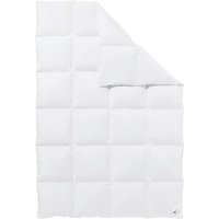 HÄUSSLING Daunen-Kassettenbettdecke extra warm (155 X 220 CM)