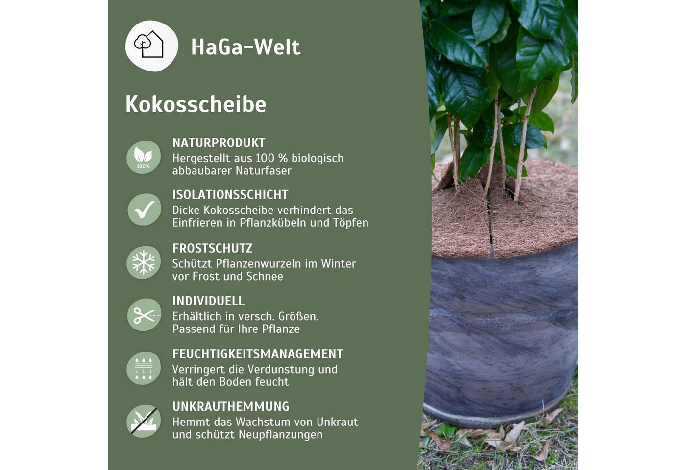 HaGa Kokosscheibe Kokosscheibe S Winterschutz Ø 25cm, Kokosscheibe mit Loch, Kübelabdeckung, Winterschutz für Topfpflanzen – Bild 4 von 5
