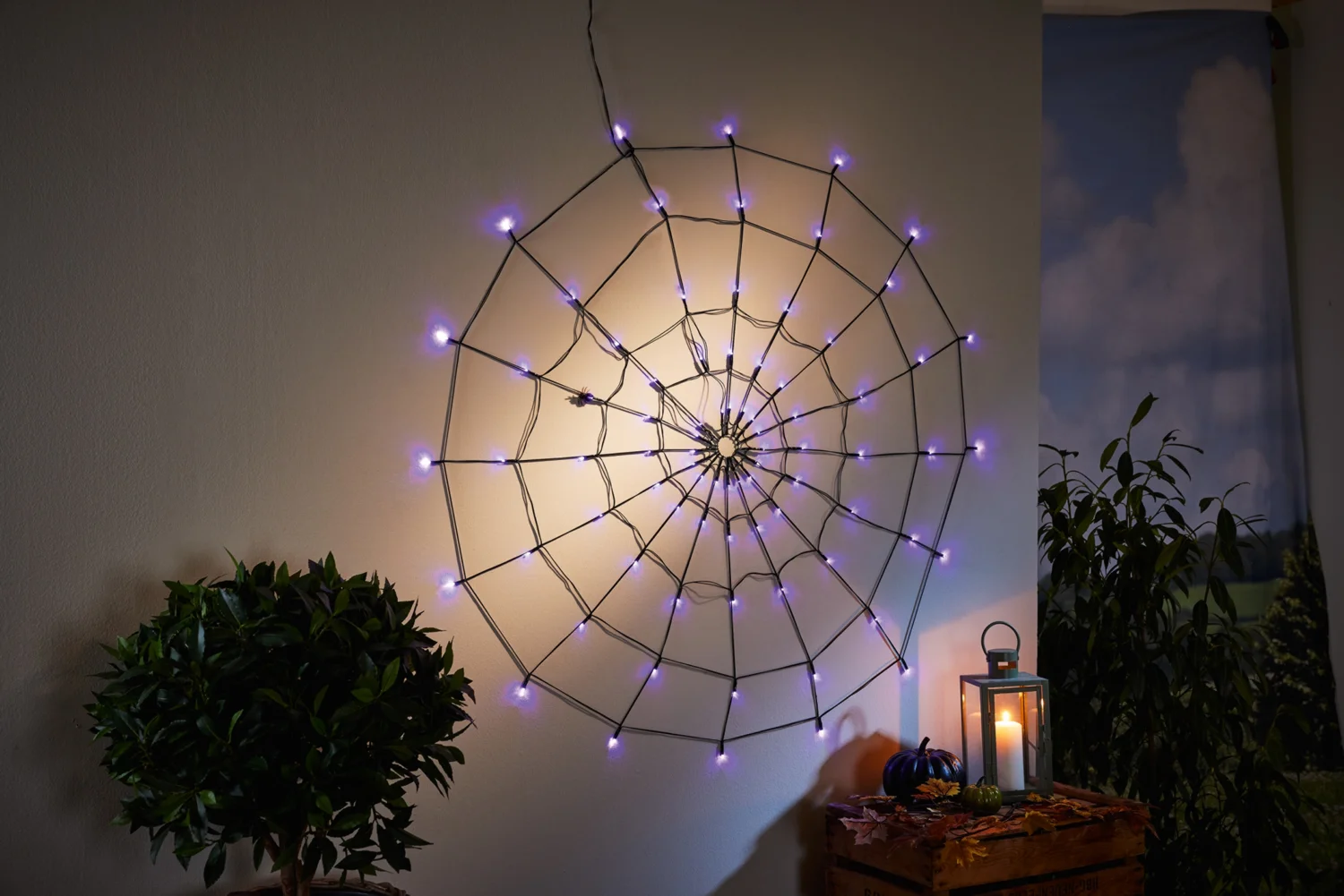 Halloween Dekoration »LED-Spinnennetz«, mit 80 LEDs (Lila) – Bild 3 von 3