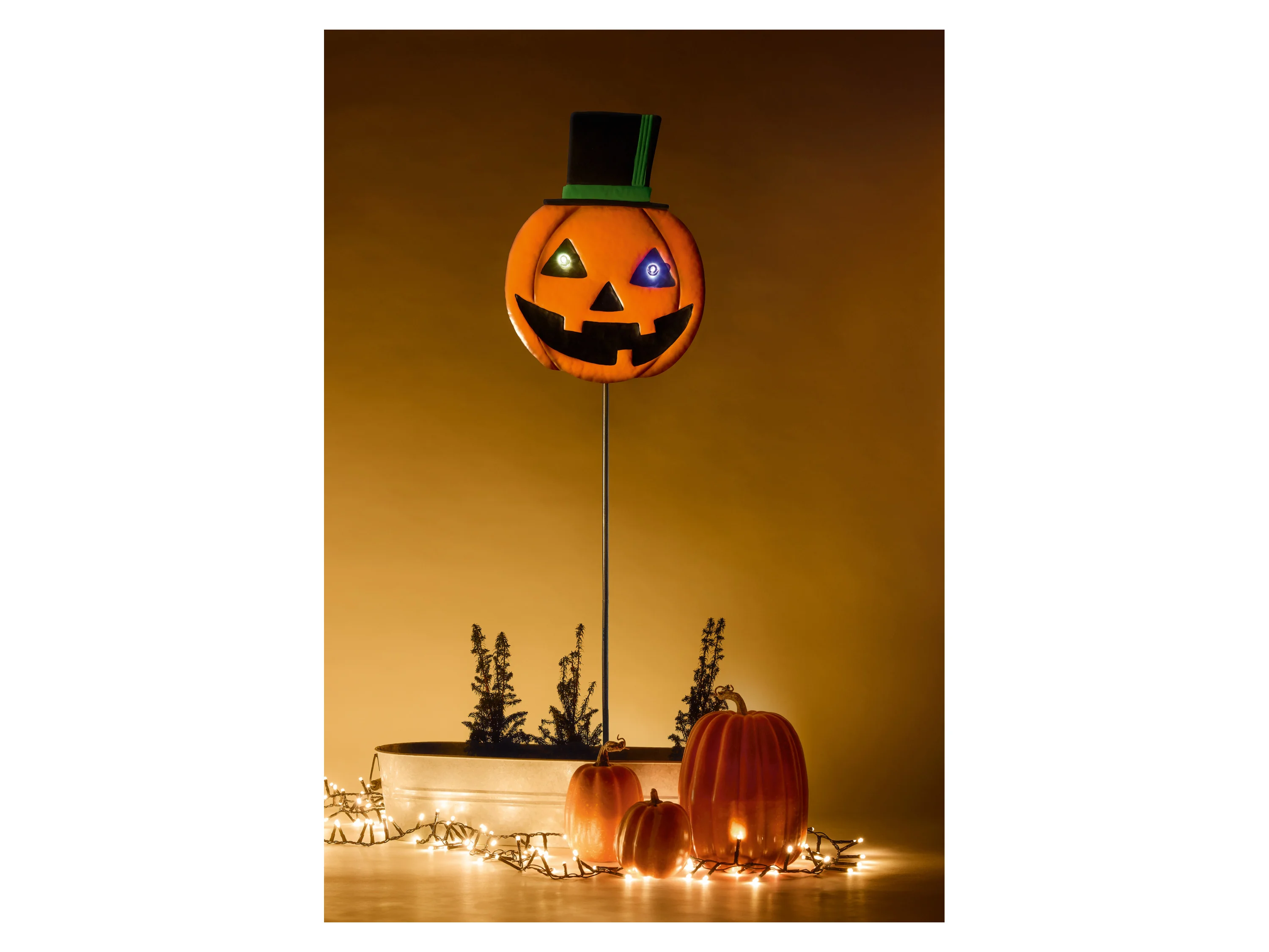 Halloween-Gartendeko (Kürbis) – Bild 2 von 4
