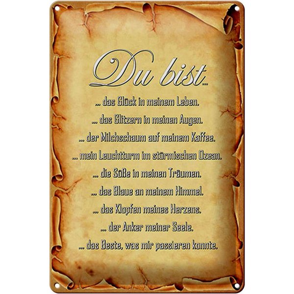 Hebold Metallschild Schild Blech 20x30cm - Made in Germany - Spruch Du bist Glück in meine