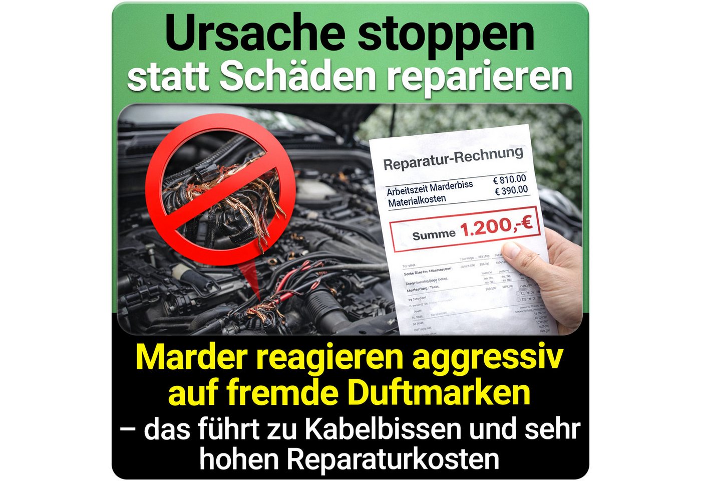 HEIMWERT Marderspray Marderspray Marder Stopp Spray, Wirkt sofort mit Langzeitformel- Hochwirksamer Marderschreck – Bild 3 von 5