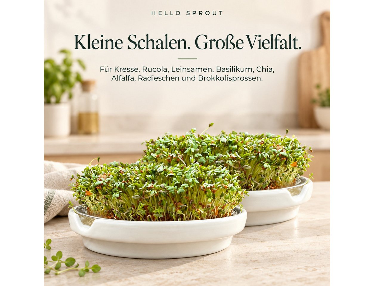 Hellosprout Anzuchttopf Kresse Anzuchtschalen, Keimschalen mit 2 x Kressesieb, Hochwertige (Anzuchtschale, Keimschale mit 2x Edelstahl Sieb, 2 St., Für Kresse & – Bild 3 von 5