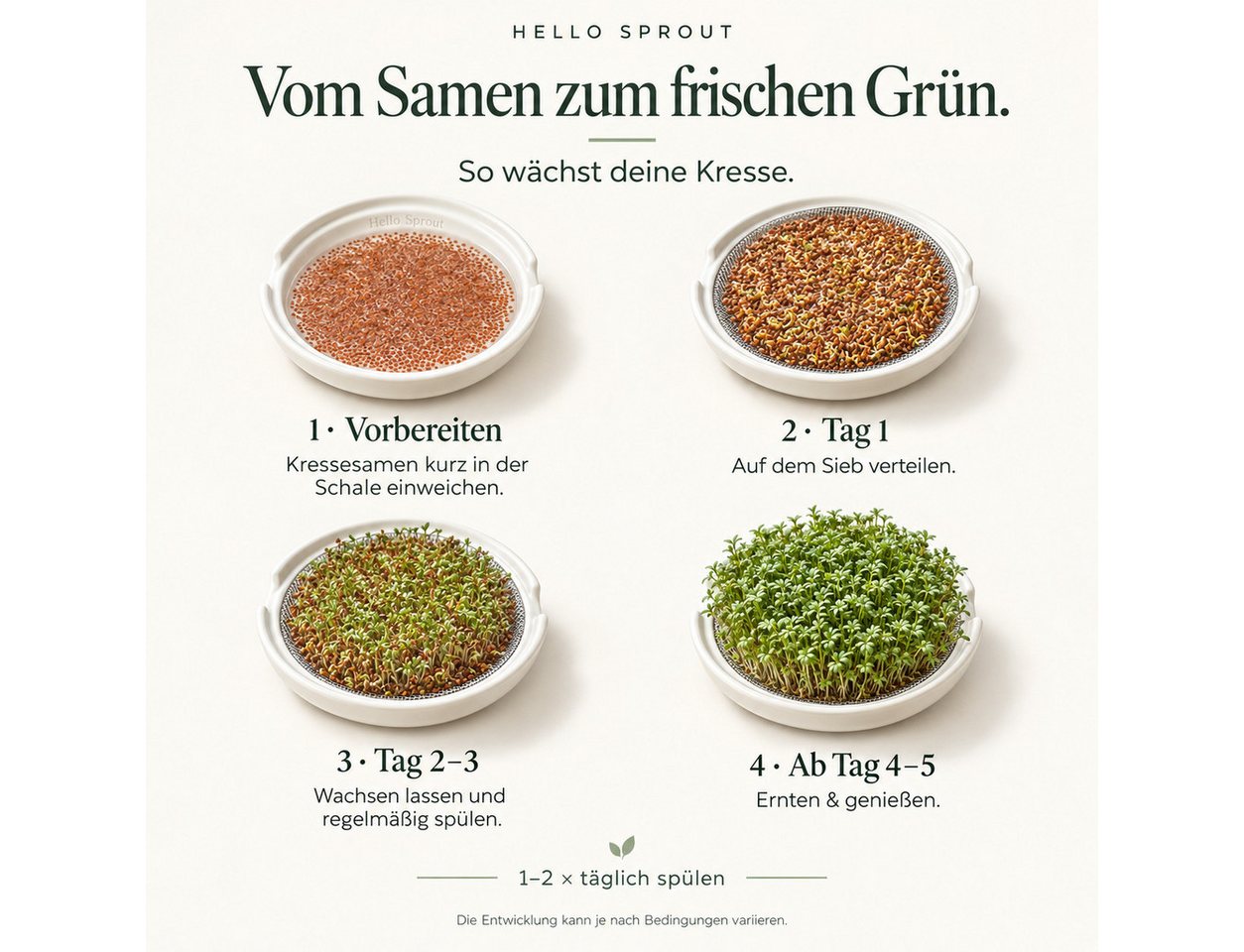 Hellosprout Anzuchttopf Kresse Anzuchtschalen, Keimschalen mit 2 x Kressesieb, Hochwertige (Anzuchtschale, Keimschale mit 2x Edelstahl Sieb, 2 St., Für Kresse & – Bild 4 von 5