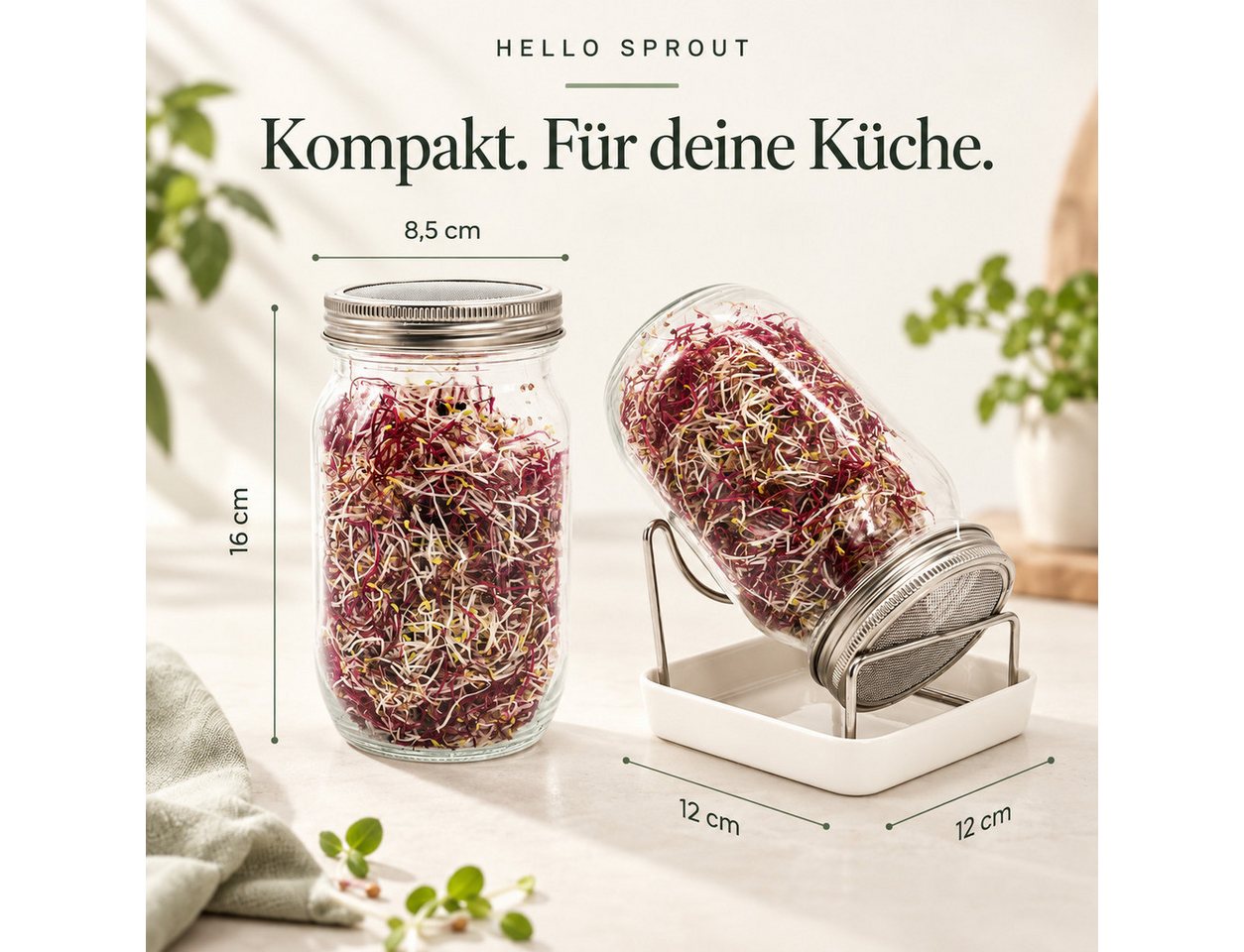 Hellosprout Anzuchttopf Sprossenglas, Keimglas Set, Sprossengläser 2 x 1000 ml (Sprossen Anzuchtset, Keimglas für Sprossen), Extragroße Öffnung und rostfreier E – Bild 4 von 5