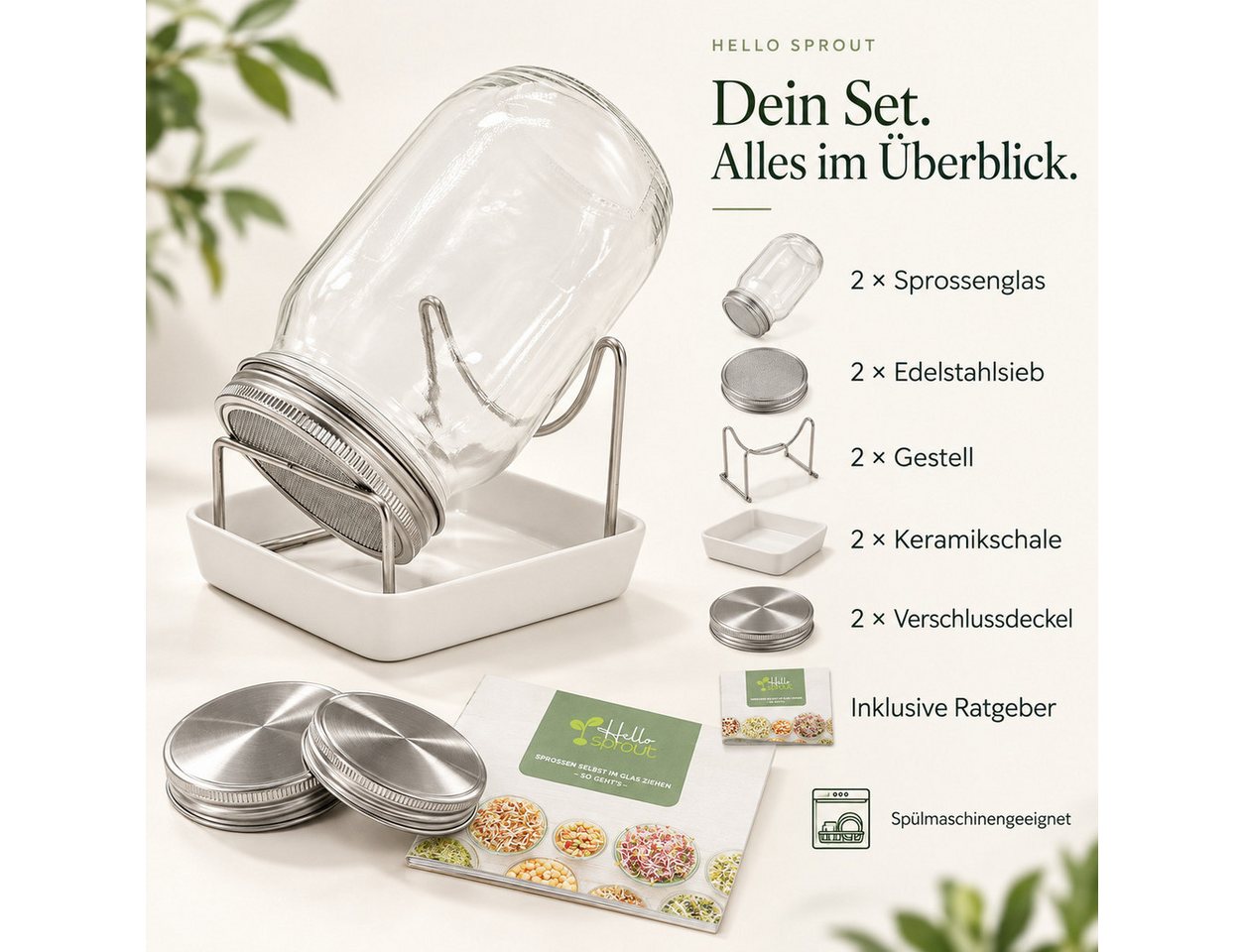 Hellosprout Anzuchttopf Sprossenglas, Keimglas Set, Sprossengläser 2 x 1000 ml (Sprossen Anzuchtset, Keimglas für Sprossen), Extragroße Öffnung und rostfreier E – Bild 5 von 5