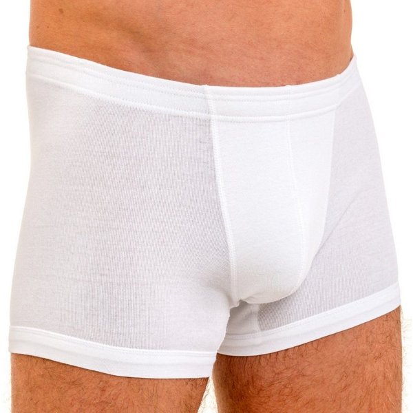 HERMKO Retro Boxer 3901 Bio-Baumwolle Pant mit elastischem Börtchen Dehnbund ohne Eingriff