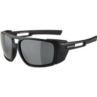 ALPINA Herren Brille ALPINA SKYWALSH, Größe ONE SIZE in Grau