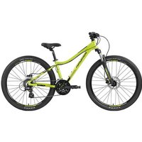 GENESIS Herren Mountainbike Genesis Evolution JR26 Disc, Größe 34 in Grün