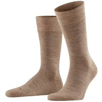 nutmeg mel (Herren)