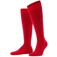 scarlet (Herren)