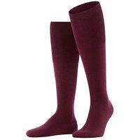 barolo (Herren)