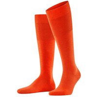 ziegel (Herren)