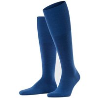 royal blue (Herren)