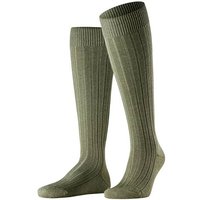 herb (Herren)