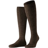 dark brown (Herren)