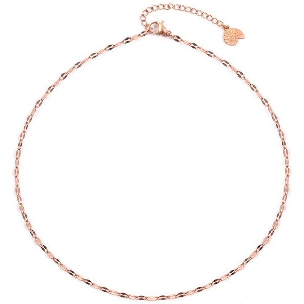Hey Happiness Choker Rolo Kette Damen, Kurze Edelstahl Halskette ohne Anhänger, wasserfest